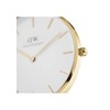 Daniel Wellington DW00100346 Ladies Petite Evergold Gold 36mm Watch