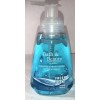 Fresh Bath & Beauty Foaming Hand Wash Fresh Scent 1ea
