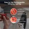 Cheerble 2 in 1 Interactive Cat Toys for Indoor Cats