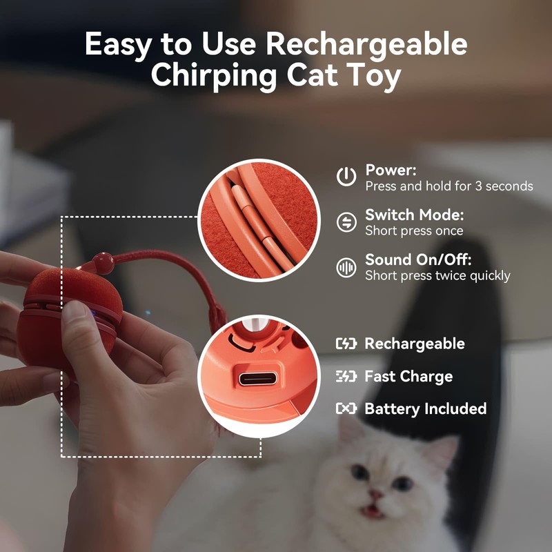 Cheerble 2 in 1 Interactive Cat Toys for Indoor Cats