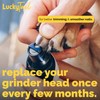 LuckyTail - Dog Nail Grinder - Regular - Replacement Head