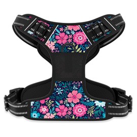 Rnivvi No Pull Dog Harness, Cute Flower Reflective Small Sized Puppy Kitten Harness, Adjustable Soft Padded Vest for Small Dogs, Cats, Heavy Duty Pet Vest with Easy Control Handle for Walking, Elegant
