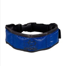 IZIPET Cooling Dog Collar, Dog Collar with Cooling Function, with Hydrogel for Cooling Collar, Blue, L