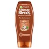 Garnier Ultimate Blends Coconut Oil Frizzy Hair Conditioner, 360ml