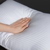 ASSAN LLC Bed Pillows Queen Size Set of 2 -