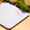 Ternal Sakura Coaster Set – Limited Edition, Handmade in Ohio