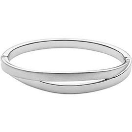 Skagen 32002745 Women's Bangle Stainless Steel, Stainless Steel, Silver