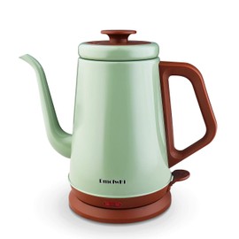 DmofwHi Gooseneck Electric Kettle(1.0L), 100% Stainless Steel BPA Free Classic Pour Over Coffee Kettle | Tea Kettle - Green