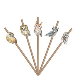 Owl Woodland Animals Paper Straws – 10 PCS Forest Theme Baby Shower or 1st Birthday Party Decorations and Supplies