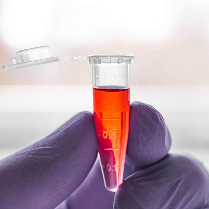 BKMAMLAB - Tubos de microcentrífuga de 1,5 ml, 500 unidades,