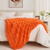 Wajade Fluffy Faux Fur Throw Blanket for Couch Bed 50x60