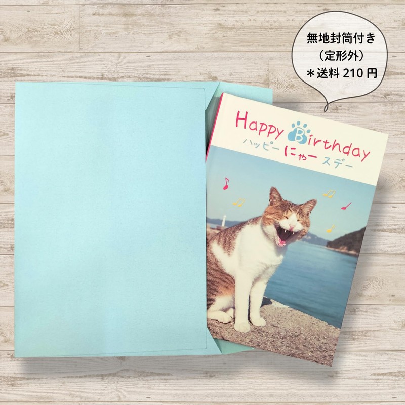 Gakken Staful Birthday Card, Happy Birthday Masayuki Oki Cat B10045