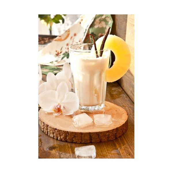 Coconut & Vanilla Bean Premium Fragrance Oil, 16 Oz. Bottle