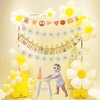 Groovy Daisy Banner Party Decorations with 12 Months Photo Banner