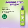 Garnier Fructis Style Curl Shape Defining Spray Gel for No