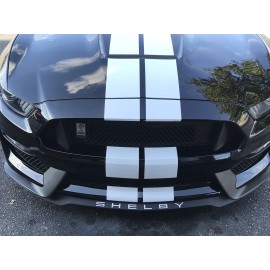 Ford 2016 2017 2018 2020 Mustang Shelby gt350 front splitter vinyl Lettering insert