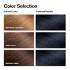 COLORSILK # 12 NAT BLUE BLACK