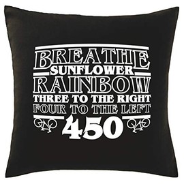 Hippowarehouse Breathe Sunflower Rainbow Three to The Right Four to The Left 450 Stranger Ramblings Printed bedroom accessory cushion cover case 41x41cm