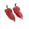 The Bridge Collection Chili Pepper Salt And Pepper Shakers -