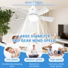 Socket Fan Light with Lights Ceiling Fans with Remote and
