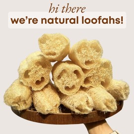 Natural Loofah Dish Sponge Vegetable Scrubber for Kitchen - 100% Biodegradable Compostable Dishwashing Scouring Pad Zero Waste (Pack 4)