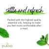 Pukka Herbal Tea 20 Count Pack Herbal Tea Variety for