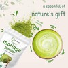 Micro Ingredients Organic Moringa Oleifera Leaf Powder, 2 Pounds, Rich