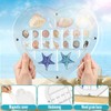 Mini Heart Acrylic Magnetic Seashell Display Box with Hold Base,