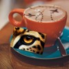 peacoblue Sticker for Bank Cards, Leopard Eyes, Custom Skin Cover