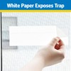 Raid Window Fly Trap, 4ct (Pack of 1)