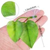 Boao 4 Pieces Betta Bed Leaf Hammock for Betta Fish,
