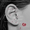 Forbidden Body Jewelry - Aretes de calavera de acero quirúrgico