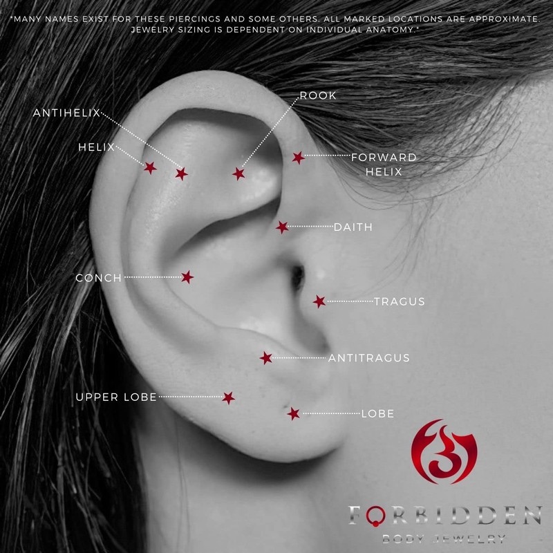 Forbidden Body Jewelry - Aretes de calavera de acero quirúrgico