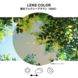 SWANS AMZ-ER4-0065 CBR Sunglasses Made in Japan ER AMZ-ER4-0065 CBR Clear Brown / Polarized Foxy Brown Square Casual Fashion Polarized Lenses Free Size