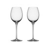 Orrefors Premier 14 oz. Sparkling Wine Stemware, Set of 2,