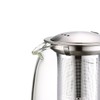 Glass Teapot with infuser, Tea Infusers for Loose Tea, Small