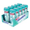 MEN2051054 - FOOD,WINTRGREN,GUM,10/PK