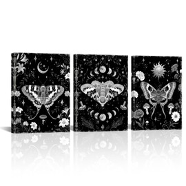 Moth Canvas Wall Art Black and White Gothic Pictures Witchy Wall Decor Framed 12x16 inches