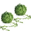Brampton 2 Pcs 20m Fake Vines,Artificial Leaves,Fake Ivy,Halloween,Wedding