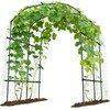 Tall Garden Arch Trellis for Climbing Plants, 87in Tall Metal