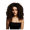 Smiffys Fever Lizzo Wig, Dark Brown Big Curls Short, Centre