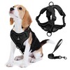 Jolifield No Pull Dog Harness with Leash Set for Medium