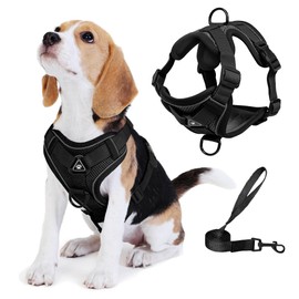 Jolifield No Pull Dog Harness with Leash Set for Medium Sized Dog, Reflective Adjustable No Choke Front Clip Cat Vest Harness with Breathable Mesh, Comfortable Soft Padded Pet Vest, Black XL