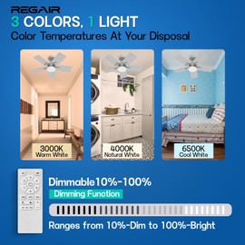 Regair Ceiling Fan 32 Inch, Remote Control DC Motors, 3CCT 3000K-4000K-6500K Dimmable Timer Noiseless, Modern Nickel Compact Ceiling Fans with Light for Indoor & Outdoor