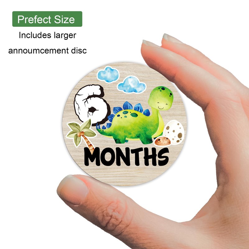 Dinosaur Baby Monthly Milestone Circles, Baby Months Wooden Disc Stuff