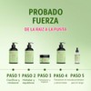 Mielle Aceite Fortalecedor Suave para Cuero Cabelludo y Cabello, Romero