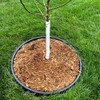 Master Mark TreeMaster Spiral Tree Protector, Plastic Tree Guard, Tree