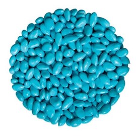 Bayside Candy Milk Chocolate Covered Sunflower Seeds - Candy Coated Chocolate Sunflower Kernels - Individual Colored Candy Coated Chocolate Sunflower Seeds (1LB, Baby Blue Chocolate Covered Sunflower Seeds)