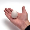 Tenyo Magic Handkerchiefs, Chicken Eggs! Beginner Eggs Handkerchief, 6 Years