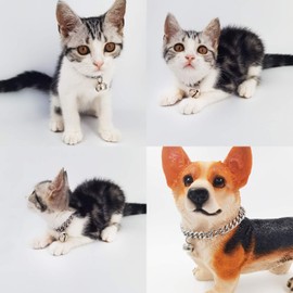 Silver Cat Dog Collar Puppy White 1/2inch Wide Stainless Steel Kitten Choker Curb Chew Proof Cuban Link Chain with Bell (Neck Fit 8"-10")